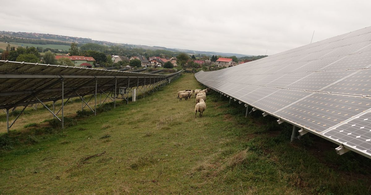 Český solární trh má novou jedničku: ČEZ předběhla tuzemská investiční skupina JUFA