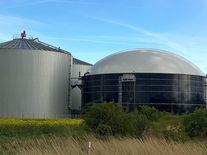 Biomasa je pro Česko ideální zdroj energie. Na naplnění svého potenciálu ale stále čeká