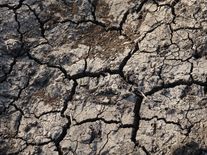 Českou krajinu čeká změna. Zemědělci budou muset ornici muset zakrývat