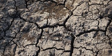 Českou krajinu čeká změna. Zemědělci budou muset ornici muset zakrývat