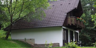 Reakce na konec dotací: příští podpora domácností musí být ještě přístupnější