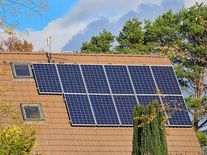 Zvrat v kauze Malina. Soud na zkrachovalou firmu neoprávněně vyhlásil konkurz