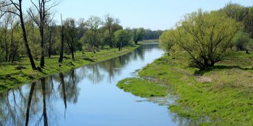 Zemanův betonový pomník míří do koše. Vláda definitivně stopla megakanál Dunaj–Odra–Labe