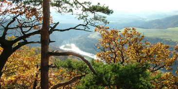 Ochranář: Proti Národnímu parku Křivoklátsko se vede dezinformační kampaň. Lidé se bojí vyhlášení podporovat