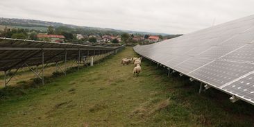Český solární trh má novou jedničku: ČEZ předběhla tuzemská investiční skupina JUFA