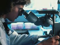 Češi objevili záhadného mikroba, může přepsat historii evoluce