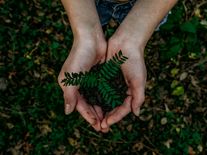 Morální správnost už nestačí, ESG musí být hlavně smysluplné, říká průkopník „výdělečné udržitelnosti“