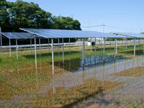 MŽP podpoří fotovoltaiku na polích. Může stát nad zeleninou i chmelem