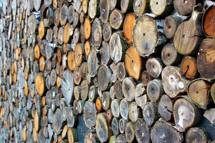 Majitelé lesů museli během kalamit prodávat dřevo hluboko pod cenou (ilustrační foto)