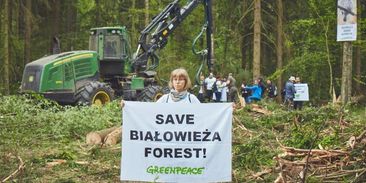 Zachraňte Bělověžský prales. Na 156 organizací protestuje proti stavbě zdi