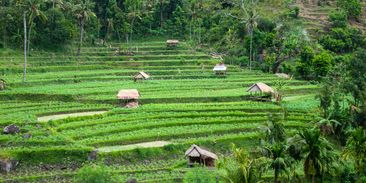 Pražská integrovaná doprava chystá informační středisko na Bali