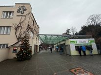 Velký převrat v pražské zoo. Ředitel Bobek po vzpouře zaměstnanců rezignoval