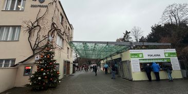 Velký převrat v pražské zoo. Ředitel Bobek po vzpouře zaměstnanců rezignoval