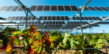 Úrodu před extrémy počasí ochrání solární panely. Čeští farmáři si ale musí počkat