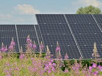 Čínské soláry zlevnily o čtvrtinu. Domácnosti ale za fotovoltaiku platí pořád stejně