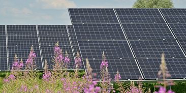 Čínské soláry zlevnily o čtvrtinu. Domácnosti ale za fotovoltaiku platí pořád stejně