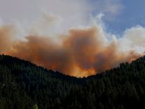 Klimatická změna podporuje vznik požárů, jsou nejméně dvakrát pravděpodobnější