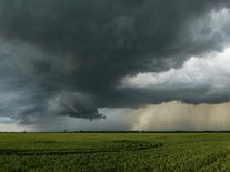 Ostrý začátek týdne. Silné zemětřesení v Japonsku i první letošní tornádo v Česku