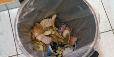 Jídlo nemusí končit v popelnicích. Snížit plýtvání lze pomocí letáků, ukazují v Brně