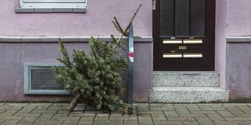 Jak omezit produkci odpadu během vánočních svátků