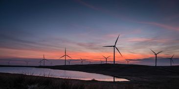 Světová jednička: První větrné farmy bez dotací bude mít Nizozemí