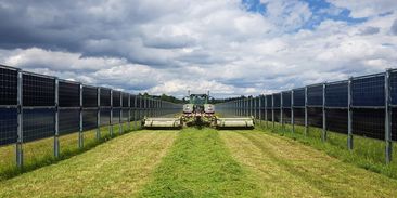 Podané ruce mezi zemědělstvím a solární energetikou: agrivoltaika