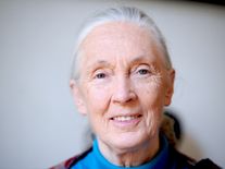 Zemřela Jane Goodall, bylo jí 91 let