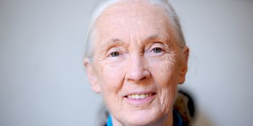 Zemřela Jane Goodall, bylo jí 91 let