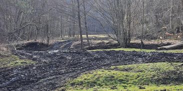 „Totální devastace.“ Těžaři zničili louku se vzácnými orchidejemi v údolí Chvojnice