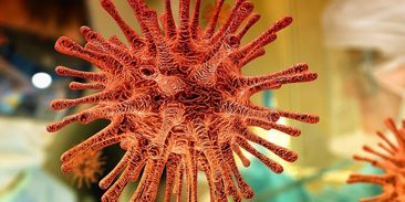 Musíme si pomáhat: koronavirus nás vrací k přírodě