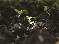 Eroze ničí 60 procent půdy. Řešení přitom existuje a začíná v kuchyni