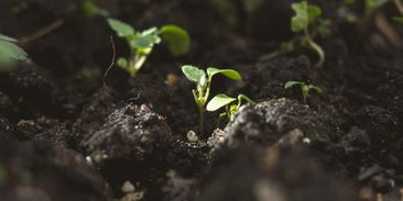 Eroze ničí 60 procent půdy. Řešení přitom existuje a začíná v kuchyni