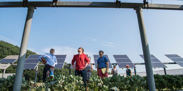 Tajnou zbraní obnovitelných zdrojů je agrivoltaika: spojení energetiky a šetrného zemědělství