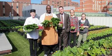 Zelené nemocniční střechy pomáhají uzdravovat pacienty: produkují místní zdravou zeleninu