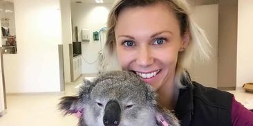 Zachraňují koaly pomocí mobilní solární nemocnice
