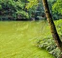 Naděje pro české řeky: Čistírny budou muset odstraňovat látky, které škodí rybám i lidem