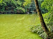 Naděje pro české řeky: Čistírny budou muset odstraňovat látky, které škodí rybám i lidem