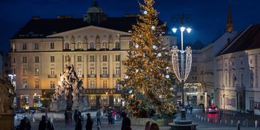 Covidové Vánoce po česku: podpořte místní producenty a podnikatele