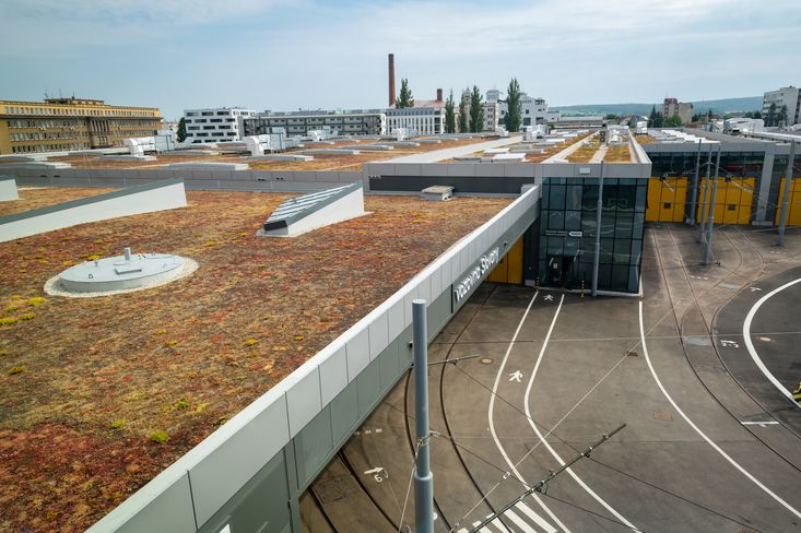 Modernizace vozovny v Plzni přinesla jednu z největších zelených střech v Česku vůbec
