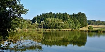 Jezera přicházejí kvůli oteplování o kyslík. Doplatí na to ryby i pitná voda