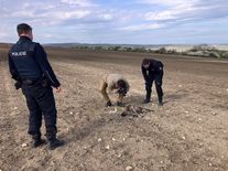 Jed byl na dětském hřišti. Karbofuran zabil orla, mohl otrávit i dítě