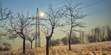 Největší propad od konce druhé světové války. Koronavirus srazil světovou energetiku