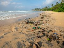 Z řek a oceánů do sedaček v autě. Recyklace odpadu pomáhá přírodě