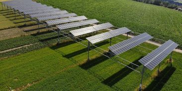Zásadní obrat: zemědělci mohou současně sklízet plodiny i solární elektřinu