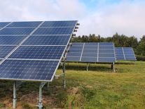 Lži, dezinformace, nesplnitelné sliby. Green Deal je fackovací panák sněmovních voleb