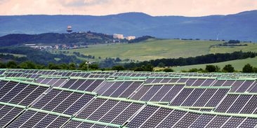 Rozhovor: Solární energetika se díky soutěži o podporu stala levnější než vítr