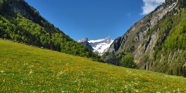 Málem skončily ve smetí. Teď dokumenty dokazují, jak ničíme přírodu