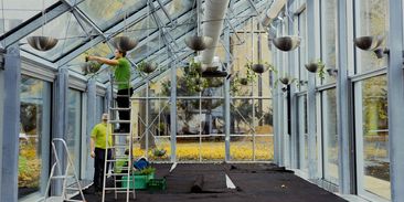 Aeroponický Mendelův skleník je jen začátek. V Brně vznikla nová divize zemědělství 4.0