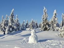 Zažili jsme konečně tradiční zimu? Ve skutečnosti napadlo jen poloviční množství sněhu