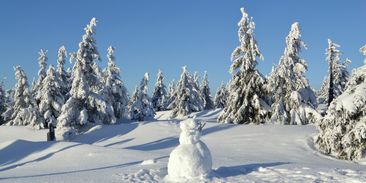 Zažili jsme konečně tradiční zimu? Ve skutečnosti napadlo jen poloviční množství sněhu